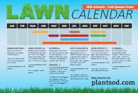 Check spelling or type a new query. How To Care For Your Cool Season Grass