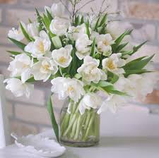 The tulips were late with blooming, but that didn't stop us from making the tulpenroute 2021 a wonderful edition. White Tulips By Leon Flowers Inc