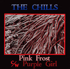 Image result for Pink Frost 1988 Colt