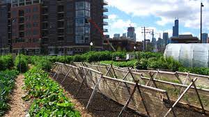 Illinois Lawmakers Have Voted Overwhelmingly To Override Gov Bruce Rauner S Veto Of A Bill To Establish Urban Agriculture Zones T Urban Farming Urban Agriculture City Farm