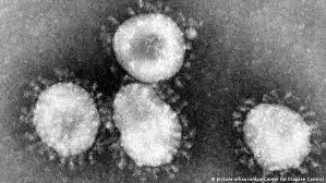 A team of wuhan researchers found a new kind of coronavirus, neocov, among bats in south africa. China One Dead From Mysterious New Virus Dozens Sick News Dw 11 01 2020