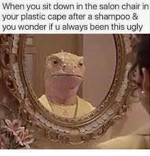 Lizard Hair Salon Funny Pictures Haha Funny Funny