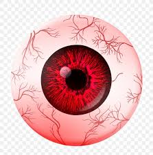What does it mean to have a bloodshot eye? Red Eye Extraocular Muscles Human Eye Eye Movement Png 1258x1280px Watercolor Cartoon Flower Frame Heart Download