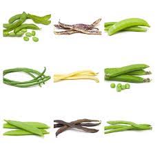 Edible pods that are nutritious and have tasty seeds. Pin On Beans And Peas