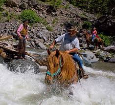 Maybe you would like to learn more about one of these? Horseback Riding Fishing Pack Trips In Cody Wy Boulder Basin Outfitters