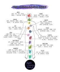 Image Result For Astrological Map Of Body Medical Astrology Astrology And Horoscopes Astrology