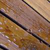 Anvil concrete pool deck stain. 1