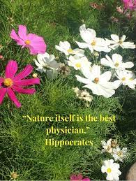 Nature A Natural State Of Wellbeing Nature Hippocrates Quote Hippocrates Nature Wellbeing