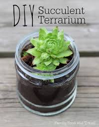 Beberapa tanaman yang biasa digunakan dalam terarium antara lain sansiviera, kaktus, sukulen, dan juga bromelia. Diy Succulent Terrarium Lebih Jimat Blog Sihatimerahjambu