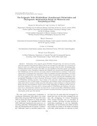 Image result for Whitfieldia thollonii