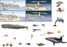 les oceans activites de maman ocean animaux illustration coloriages meilleurs amis pour toujours