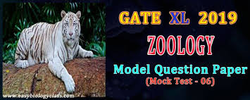 Pin On Gate Xl Solved Papers