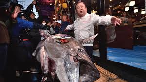 They go out and buy tuna fish and soup. Plant Based Fish And New Packaging How Bumble Bee Tuna Is Trying To Make A Comeback Cnn