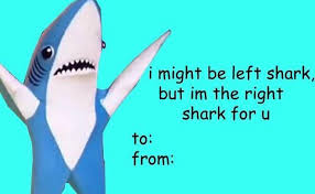 Memes of donald trump valentine's day cards may be an unexpected joke, but oh boy do they deliver. Katy Perry S Left Shark Will Be Your Valentine S Day Mvp Funny Valentines Cards Bad Valentines Cards Valentines Memes