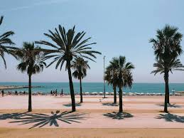 Barceloneta beach has numerous sports and leisure facilities including beach volleyball courts, table tennis tables, a gymnastics area and an area for children to play. Barceloneta Beach Spain The Best Guide To La Barceloneta Offbeat Escapades Offbeat Travels Van Life Blog