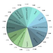 The Best Time To Eat Sleep And Even Pay Your Bills According To Chinese Medicine The Beauty Block Chinese Medicine Best Time To Eat Medicine