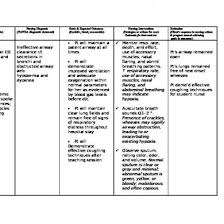 Nursingcrib Com Nursing Care Plan Chronic Obstructive Pulmonary Disease Copd 1d47ev6w8jn2