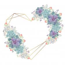 Frame Background Floral With Succulents Premium Vector Premium Vector Freepik Vector Background Banner Fl Floral Border Design Flower Frame Flower Icons