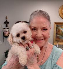 Dog sitting job for the week.The little one is mine, Bijou, and the big boy  is Max🩷 We are having fun🩷🩷🩷