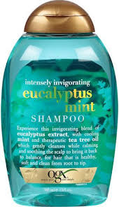Best Conditioner For Dry Scalp And Thin Oily Hair Thin Oily Hair Oily Hair Shampoo For Dry Scalp