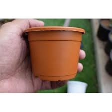 Plastic garden plant pots and planters. Brown Small Round Plastic Pot For Planting Purposes Size 2 4 Inch Id 20477889348
