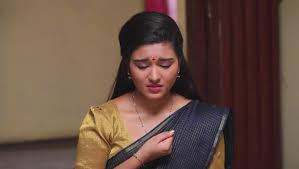 Comment must not exceed 1000 characters. Sembaruthi 23 October 2020 Written Update Why Does Parvathy Feel Jealous Zee5 News