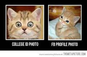 200 pieces of funny animal pictures. How Personal Pictures Work Funny Pictures Fb Profile Photo Funny Animals