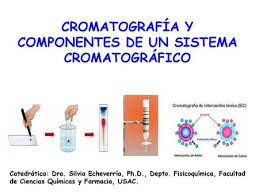Cromatografia Y Componentes De Un Sistema Cromatografico Ppt Video Online Descargar