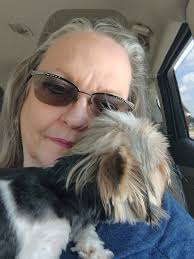 Challenges of being a cat breeder