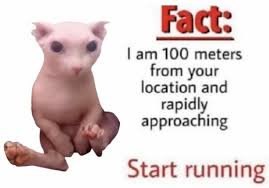 bingus no | How to start running, Memes, Reactions meme