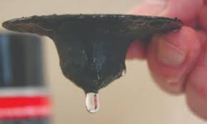 No, flex shot will not accept a top coat of paint. Flex Seal Can T Fix Leaks The Renegade Rip