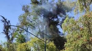 Και νέα μεγάλη εστία από βαρυμπόμπη προς θρακομακεδόνες βίντεο. We6larznjkzixm