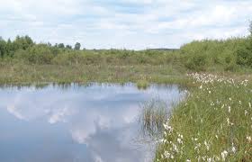 It's dark rough gps position latitude. Projektgebiete