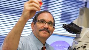 Research and development expert voices