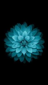 Blue Flower Phone Background Blue Flower Wallpaper Abstract Iphone Wallpaper Iphone 5s Wallpaper
