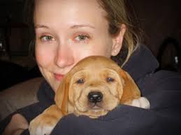 Web-Exclusive Pet Show