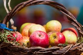 Iq beregnes slik at de som. Hva Er Gjennomsnitt Iq Ytrebygda