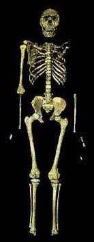 El poder militar y la riqueza de turkana aumentaron en lo que hoy es la llanura norte de turkana. El Proceso De Hominizacion Iii Homo Erectus Ergaster Sit Tibi Terra Levis