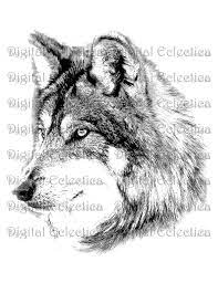 Wolf Face Wolf Png Animal Png Wolf Prints Wolf Image Etsy Wolf Face Wolf Images Wolf Pictures