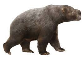Diprotodon herds would forage for roots and leaves in the barren australian outback, the creature would probably have to eat about a quarter of it's body weight every day to sustain health. Diprotodon Sciifii Fanon Wiki Fandom