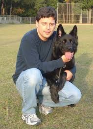 We did not find results for: German Shepherd Dog Breed Pictures 2