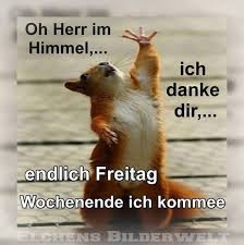Maybe you would like to learn more about one of these? Schonen Freitag Bilder Kostenlos Guten Morgen Freitag Bilder