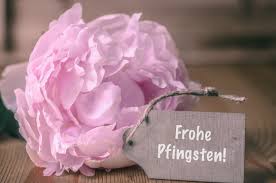 Pfingsten bilder grusse und spruche. Frohe Pfingsten Pfingstrose Stock Foto Adobe Stock