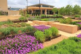 Anybody experienced with planting fall gardens in similar climates who has favorite crops to plant? The History Of The Mississippi Museum Of Art Mississippi Museum Of Art
