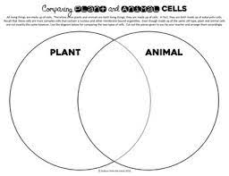 Maybe you would like to learn more about one of these? Plant And Animal Cells Venn Diagram Activity By Science From The South