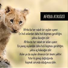 Derya Mustuluk Adli Kullanicinin Heartfelt Panosundaki Pin Afrika Aslan Alintilar