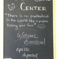 Luna park central amusement international inc. Pet Care Center At Luna Park Veterinarian In Seattle