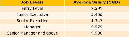 Their main duties include preparing an organizations' activity reports, creating financial forecasts and. Accounting And Finance Careers And The Salaries You Can Expect Jobstreet Singapore