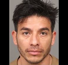 Man pleads guilty to four counts of sexual assault involving two children