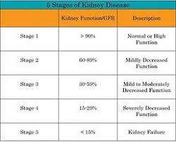 Stages Chronic Kidney Disease Chart Kidney Disease Stages